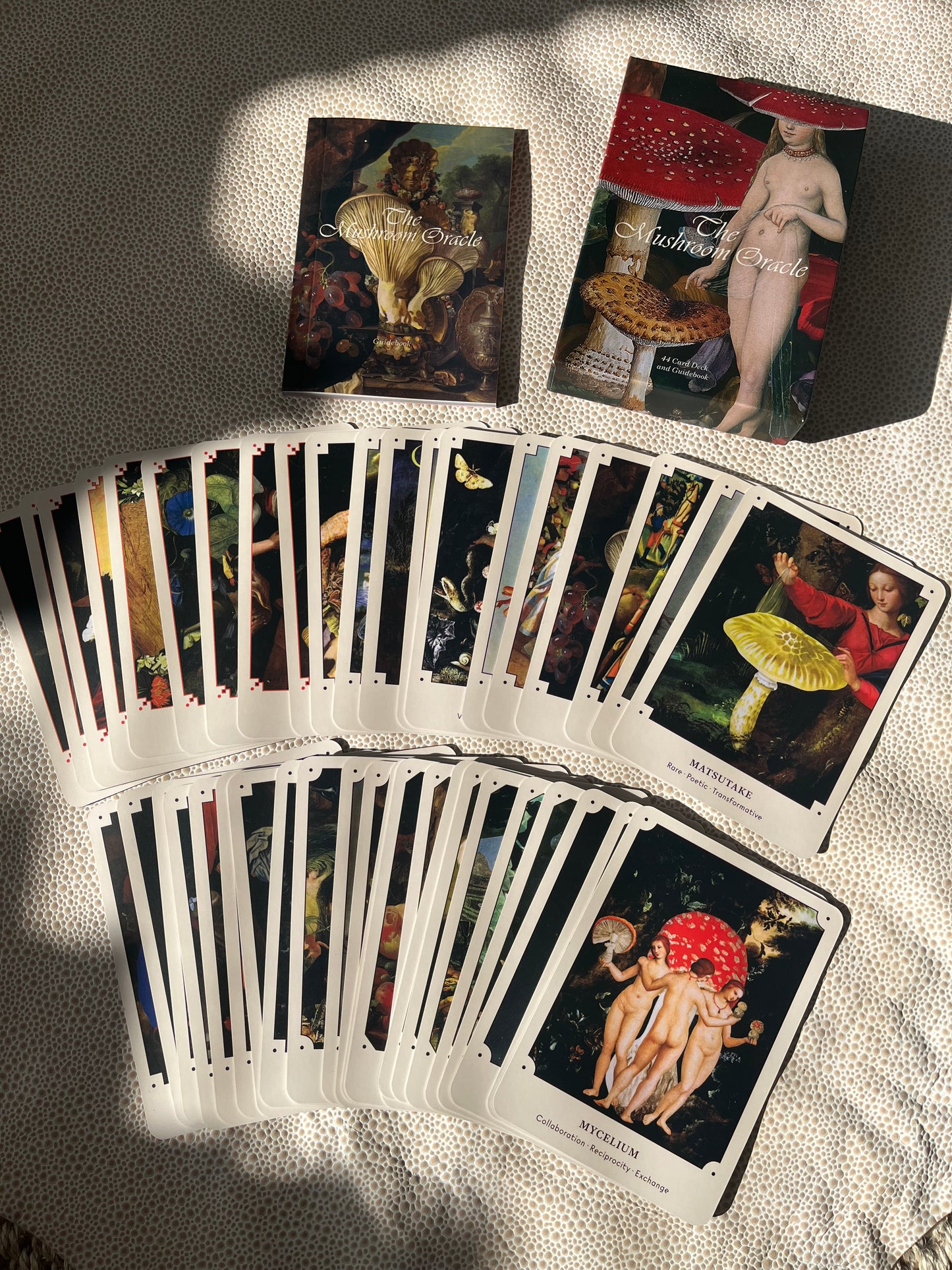The Mushroom Oracle: 44 Card Deck & Guidebook