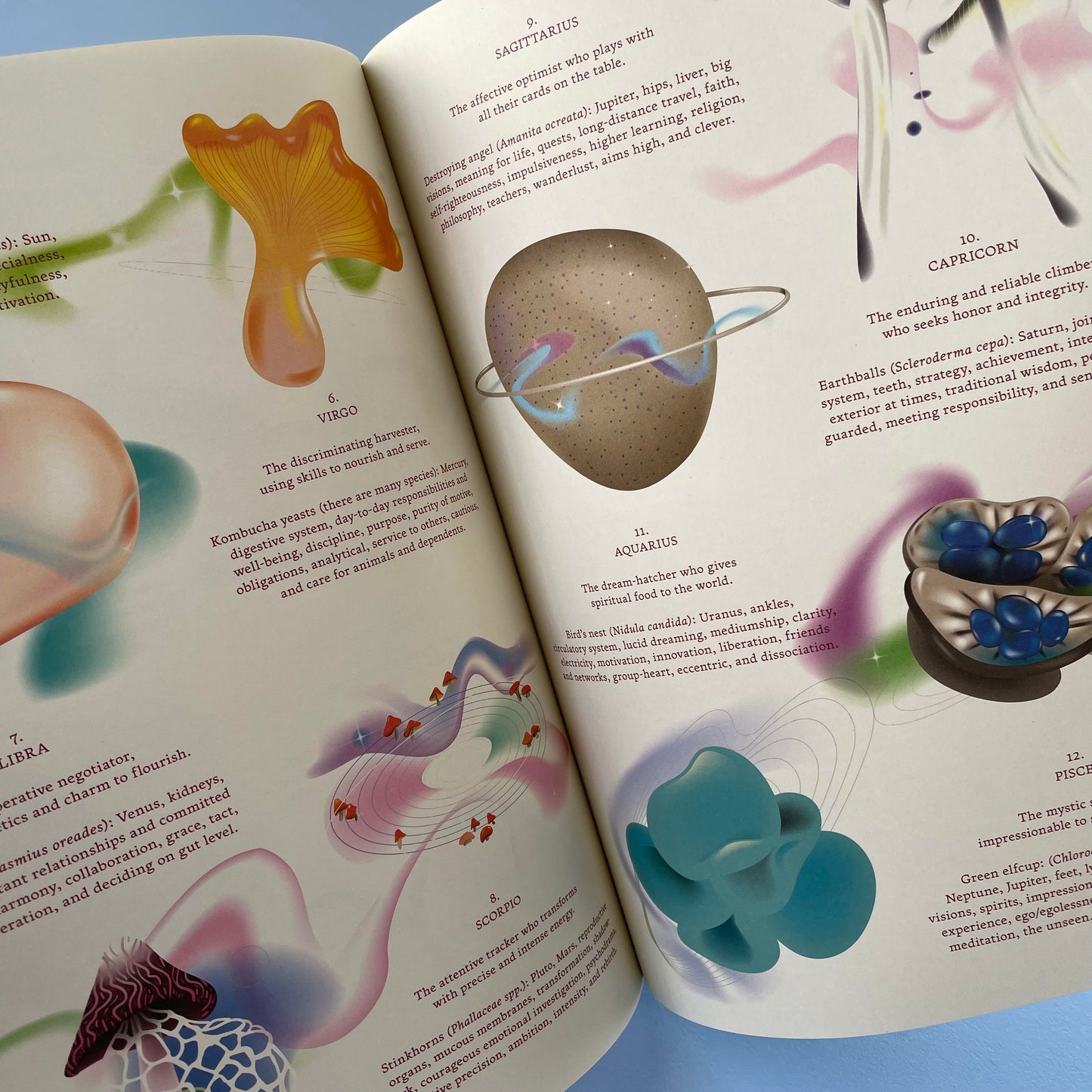 Mushroom People Magazine