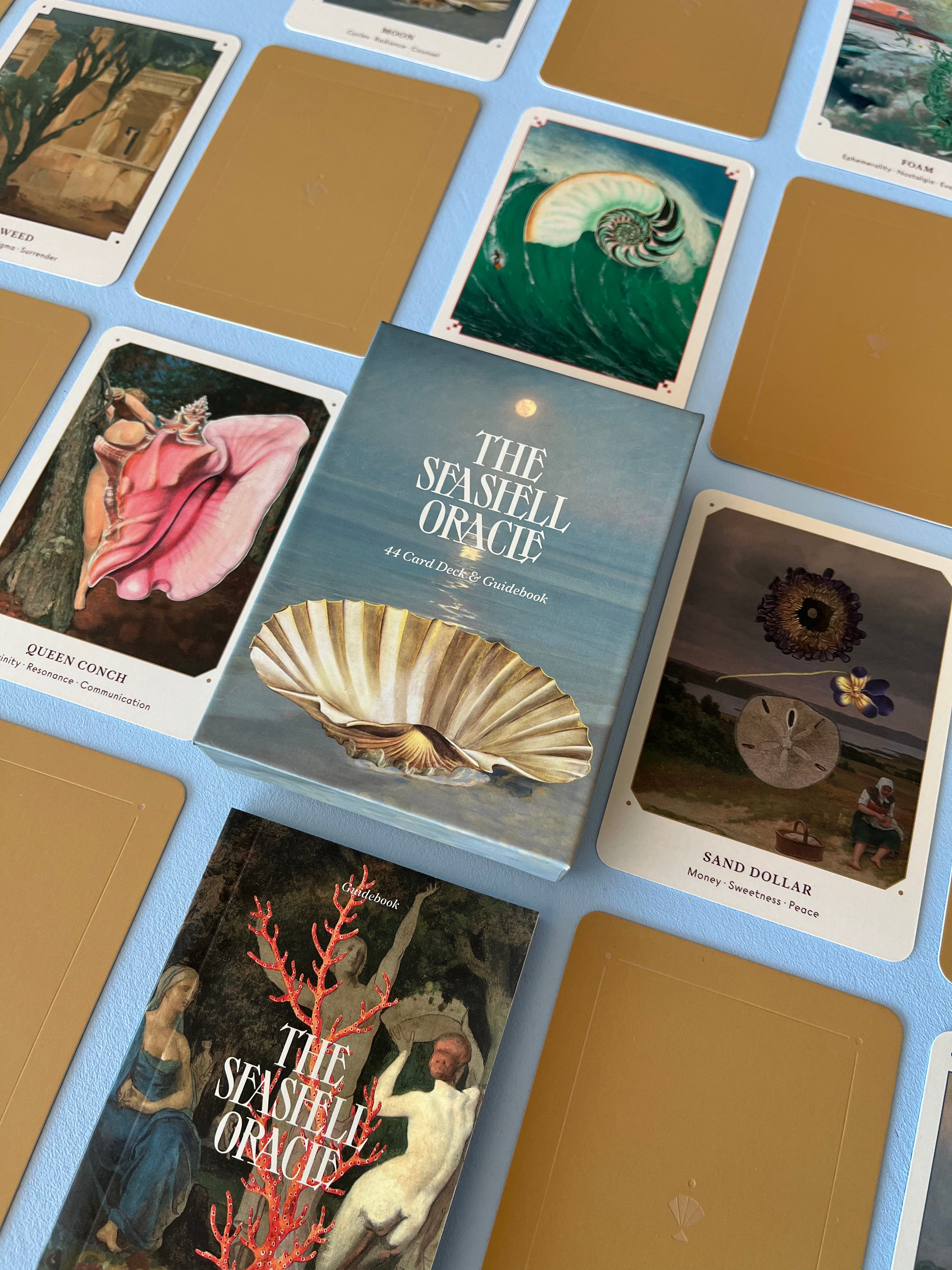 Sea Shell Oracle Pathfinder The Seashell Oracle: 44 Card Deck & Guidebook – needlesandfins